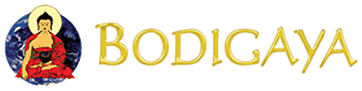 logo (2)